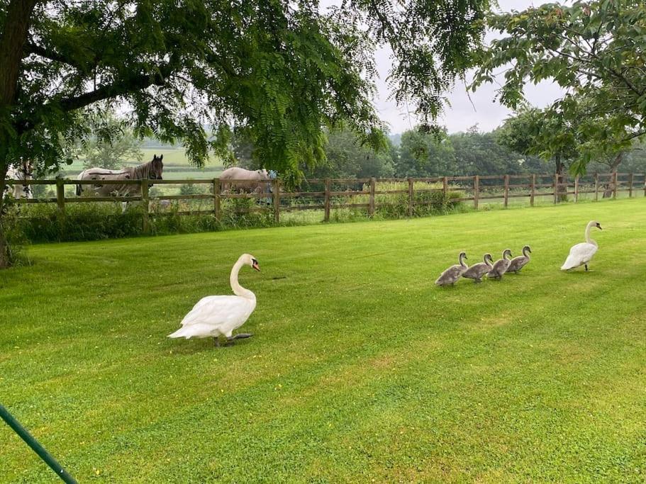 Cottage Barn Conversion On Working Farm Worcester Dış mekan fotoğraf